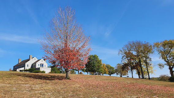 Jackson County Parks + Rec
