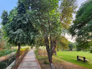 Chenab Park