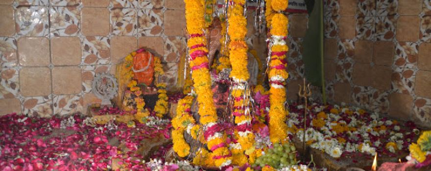 Paleshwar Mahadev Mandir,Barlai