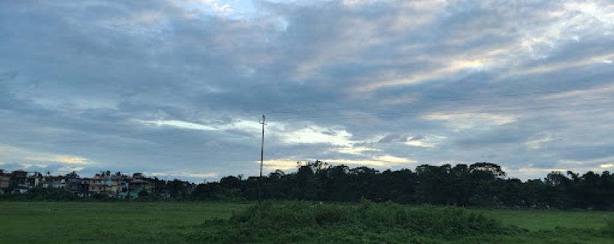 Pioneer Ground