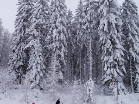 Foyer de Ski de Fond Besse Pertuyzat
