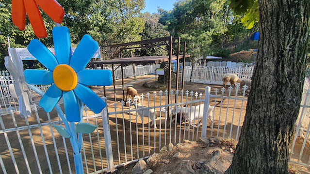 Culture Center of Pig