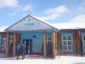 Dyussh Im. B.v. Nepomnyashchego