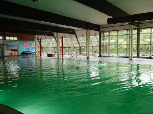 Meerwasser-Hallenwellenbad Hooksiel