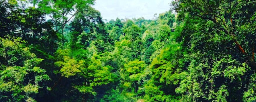 Air Terjun Riam Dait
