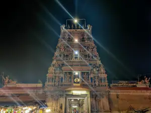 Arulmigu Koppudaiya Nayagi Amman Temple - Karaikudi, Sivagangai, Tamilnadu