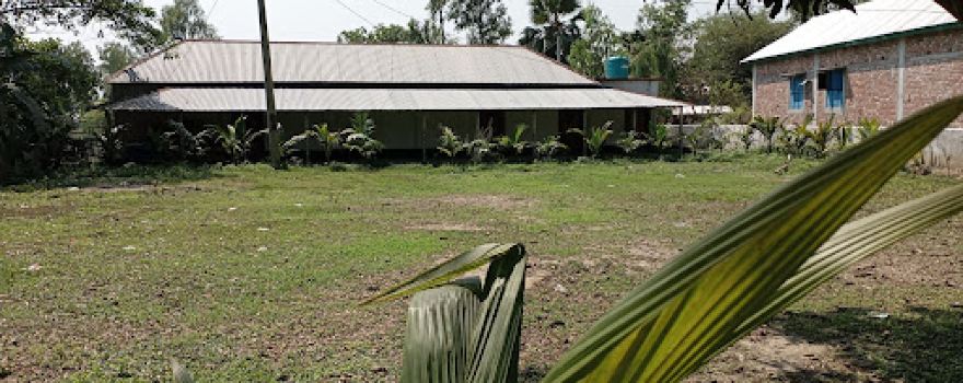 Ronbagha High school Field