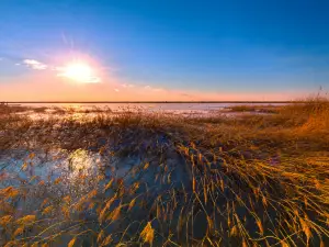 Heilongjiang Qixinghe National Nature Reserve