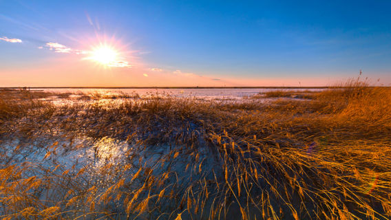 Heilongjiang Qixinghe National Nature Reserve