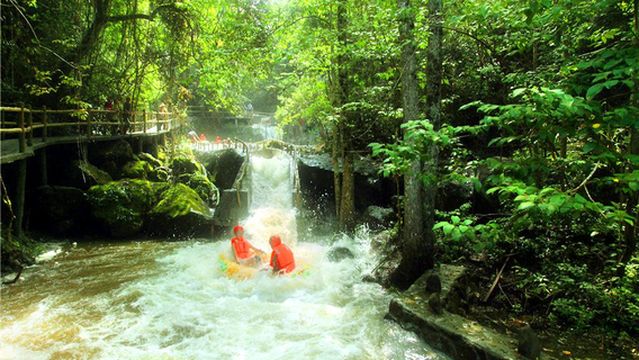 da jin hu piao liu xia ma tou