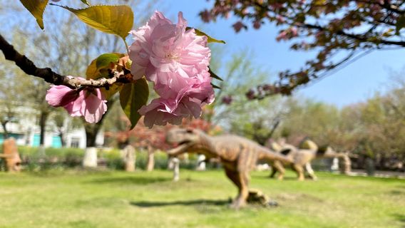 Sichou World Sceneic Area