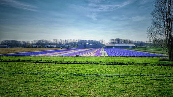 Van Haaster Vijfhuizen BV