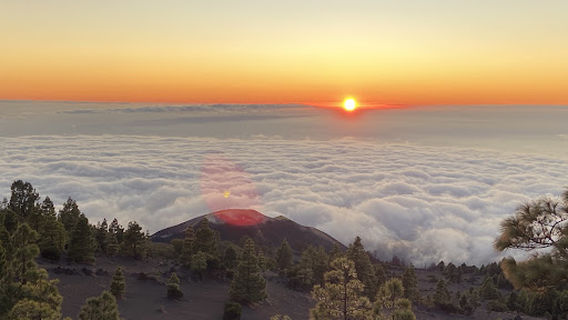 StArt La Palma