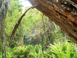 Forest Hill Scenic Reserve