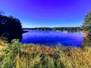 Lake McMurtry West Recreation Area