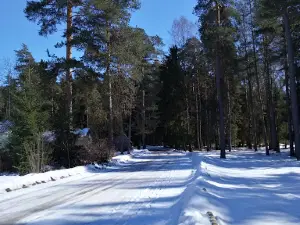 Usad'ba Gagarina A. G. "Kholomki"