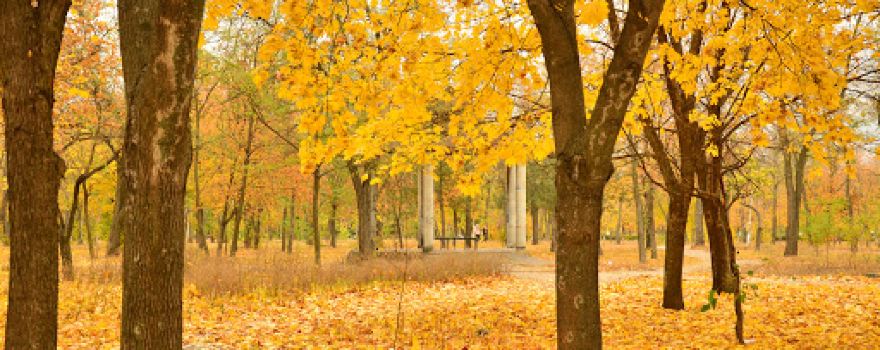 Peremohy Park