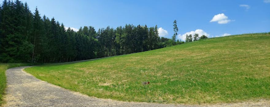 Zwergerlwald