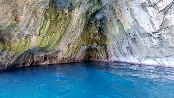 Carpe diem private boat cruises & excursions