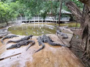 The Million Years Stone Park & Pattaya Crocodile Farm