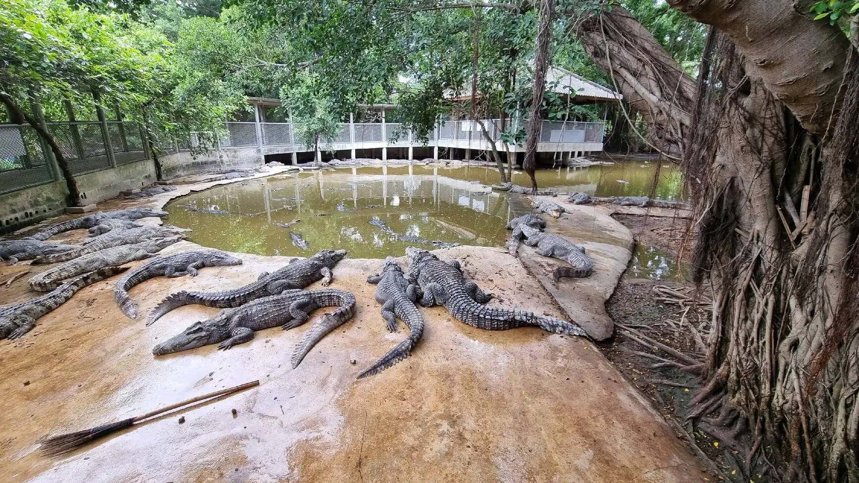 โรงแรมใกล้อุทยานหินล้านปีและฟาร์มจระเข้พัทยา