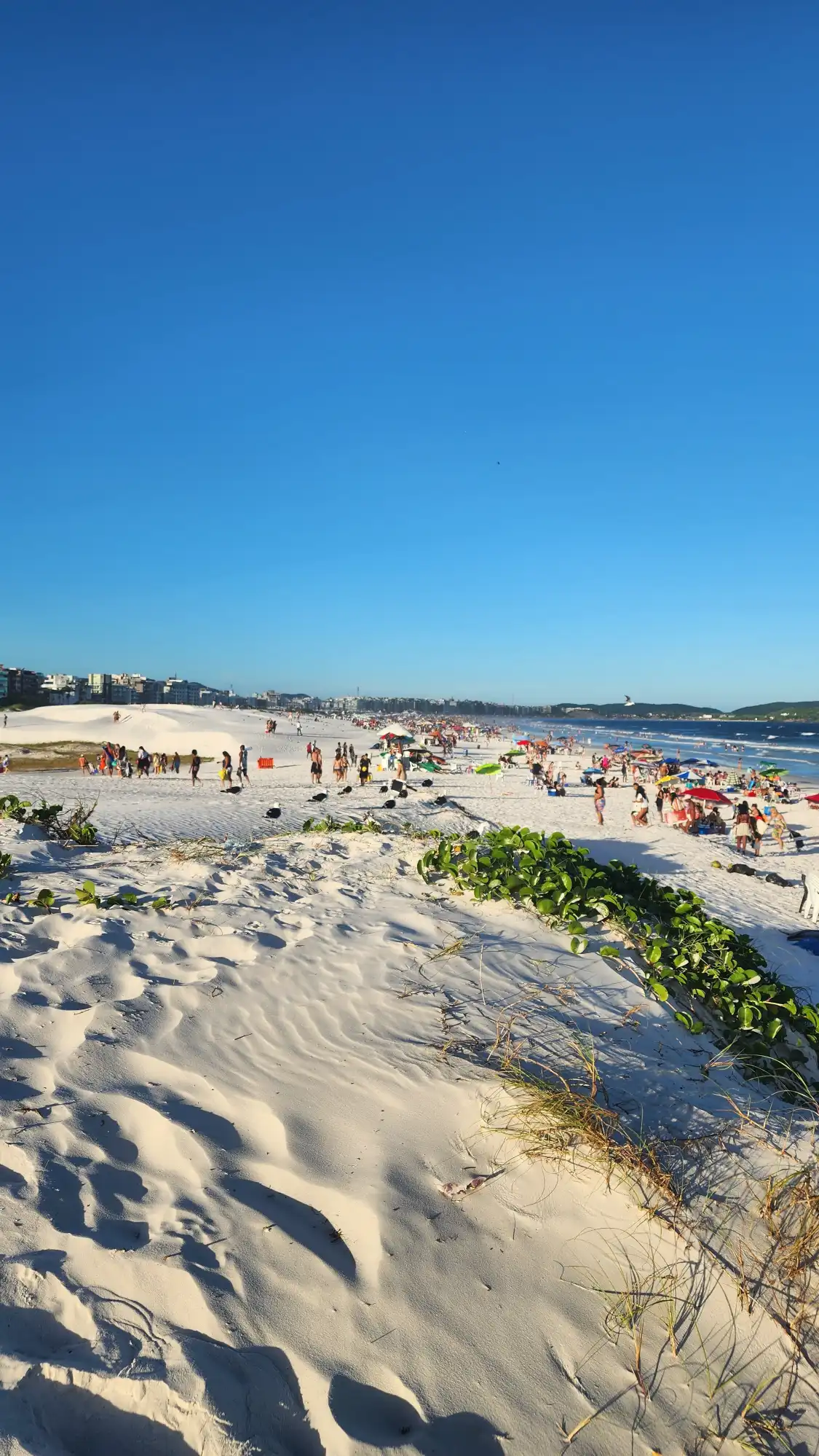 Hotel in zona Forte Beach