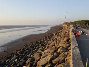 Tithal Beach