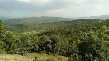Kizilcahamam