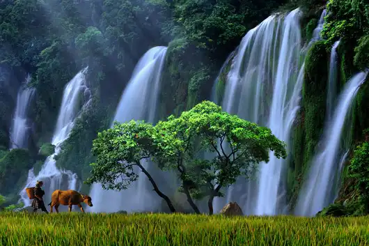 Hotels in P. Hợp giang