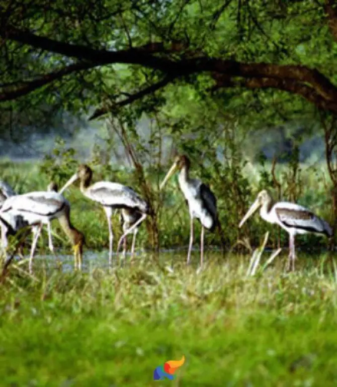 Kumarakom