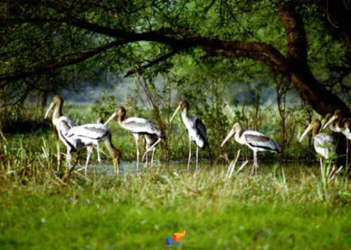 Kumarakom