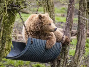 ZSL 윕스네이드 동물원