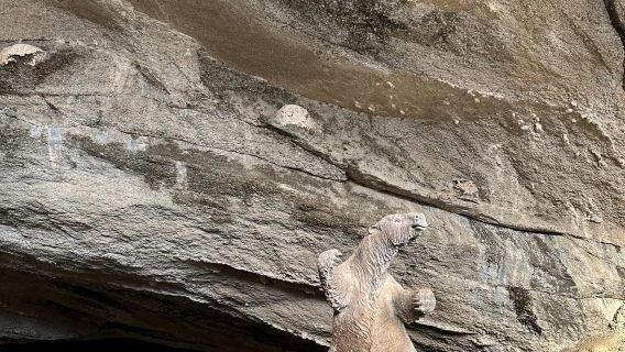 Mylodon Cave Natural Monument