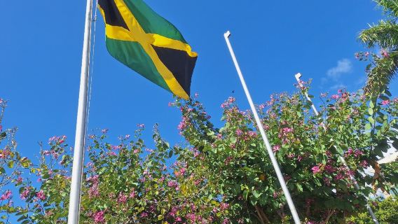 Emancipation Park