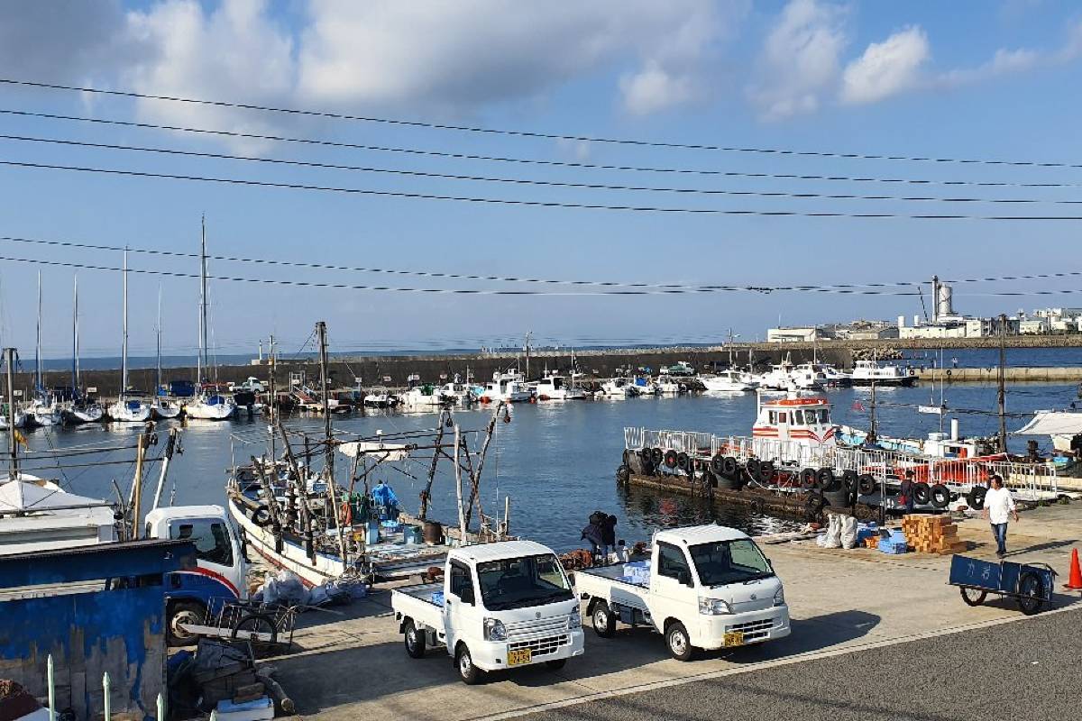 日本轉機 | 泉佐野漁協青空市場