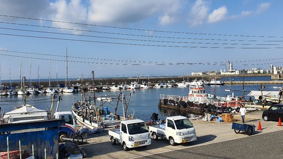 Izumisano Gyokyo Aozora Fishery Cooper's Market