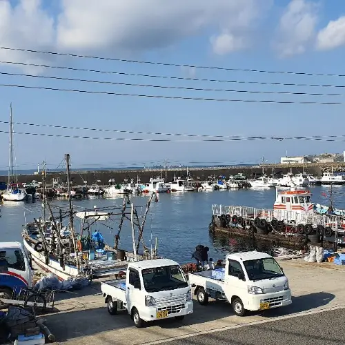 Izumisano Gyokyo Aozora Fishery Cooper's Market