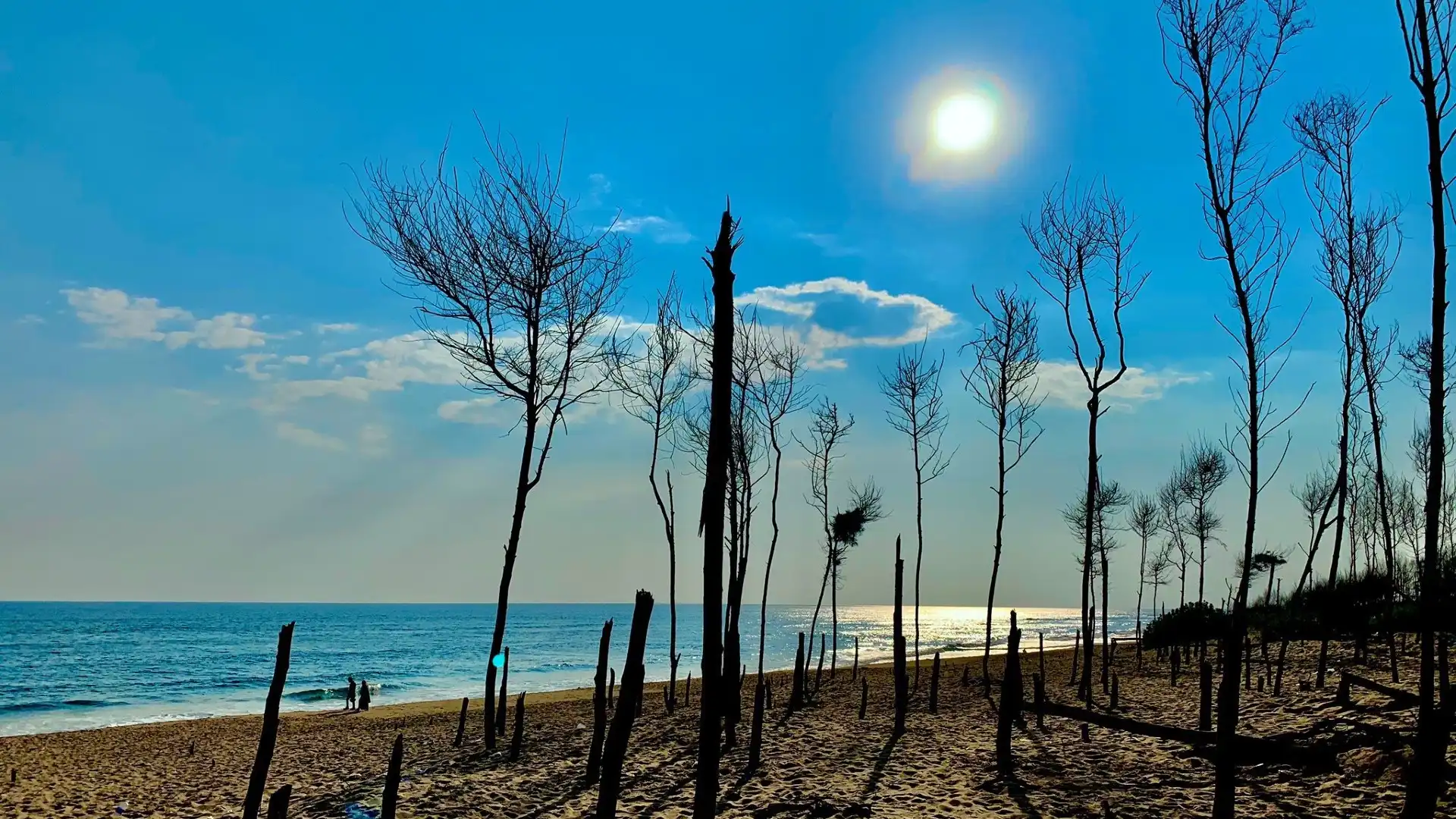 Hotels near Chandrabhaga beach