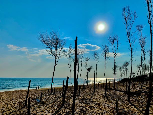 Chandrabhaga beach