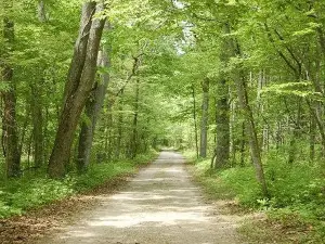 Parc provincial Rondeau