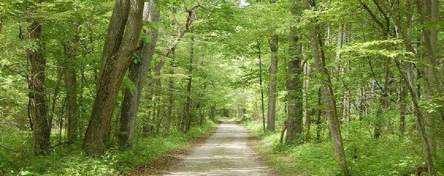 Parc provincial Rondeau
