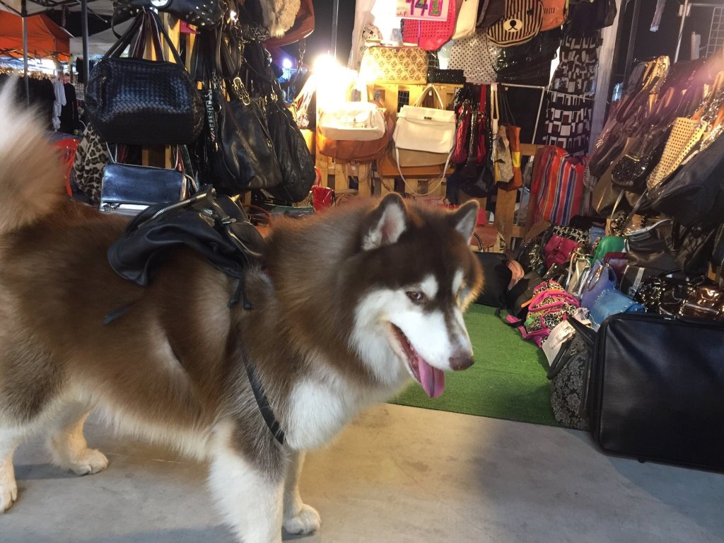 Mali Market Tickets [2025] Promos, Prices, Reviews Opening