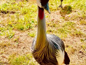 Vogelpark Niendorf