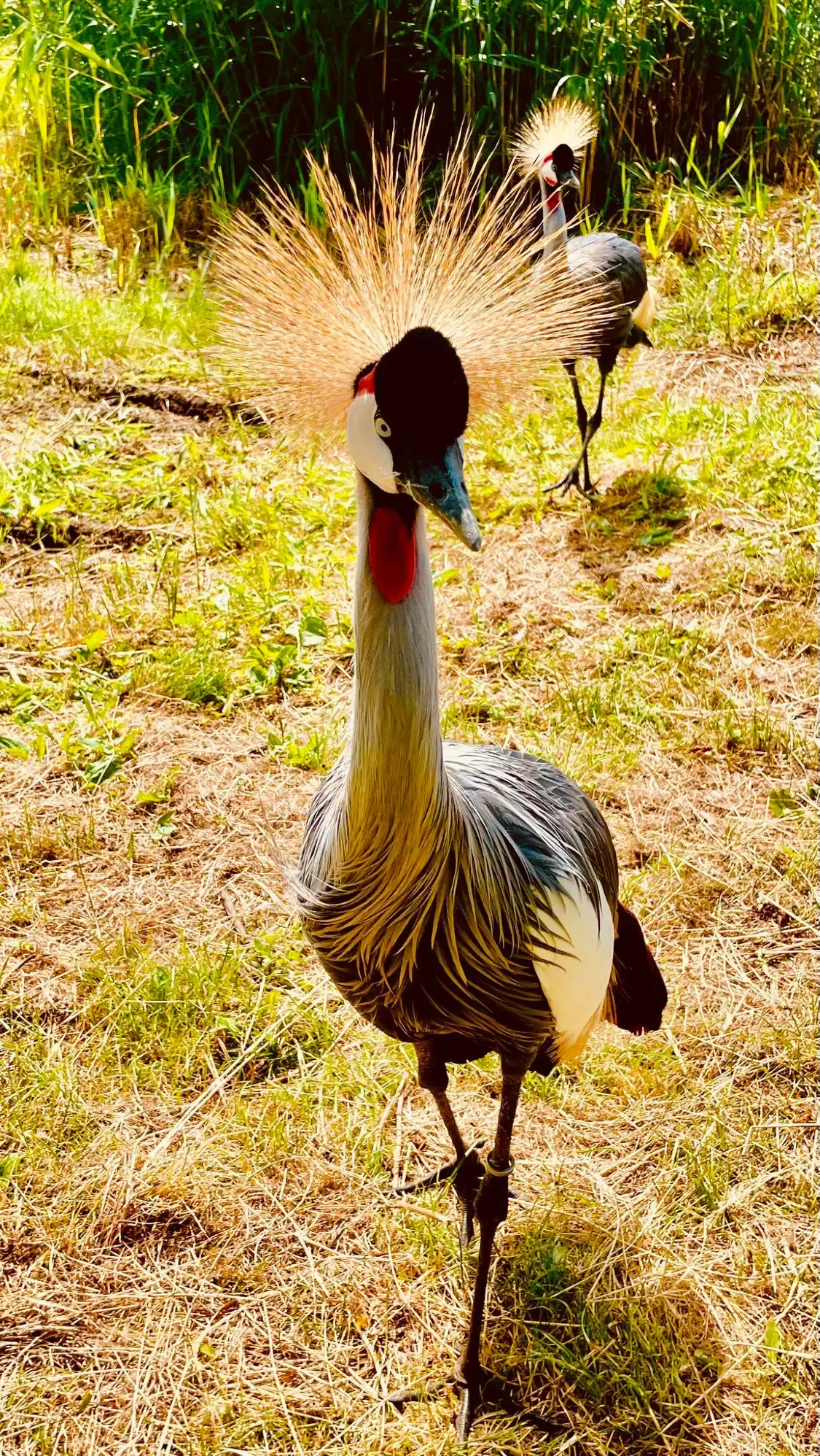 Hotels near Vogelpark Niendorf