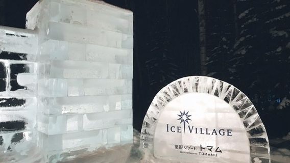 Ice Village