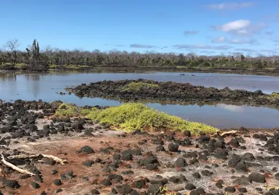 Isla Santa Cruz