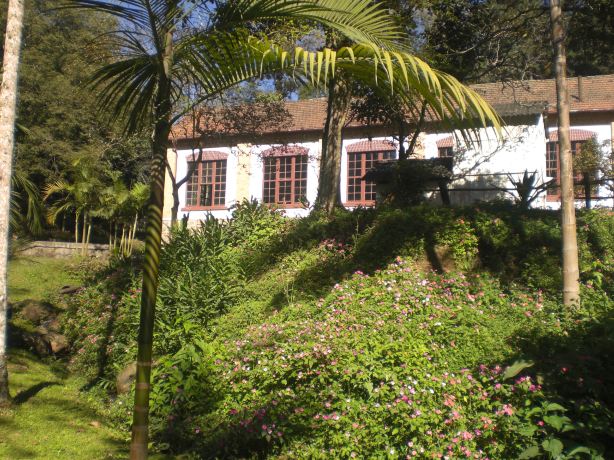 Parque Estadual da Cantareira
