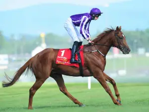 The Curragh Racecourse