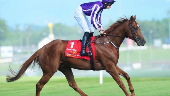 The Curragh Racecourse