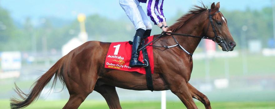 The Curragh Racecourse